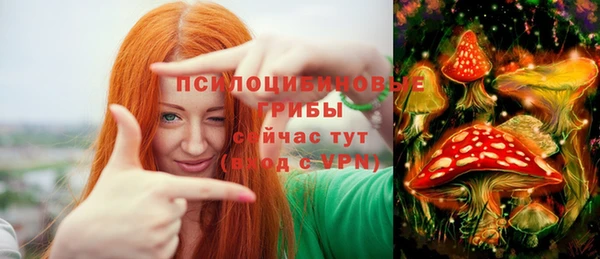 тгк Волосово